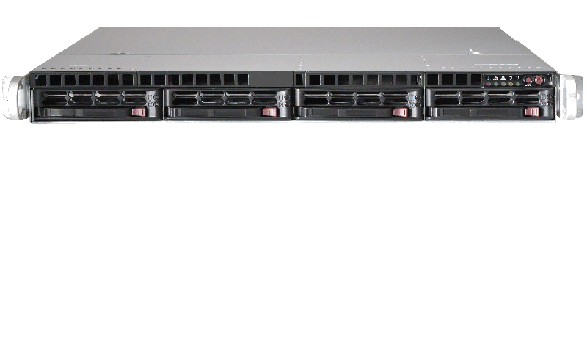Pauli server