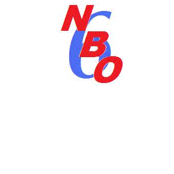 NBO6 logo